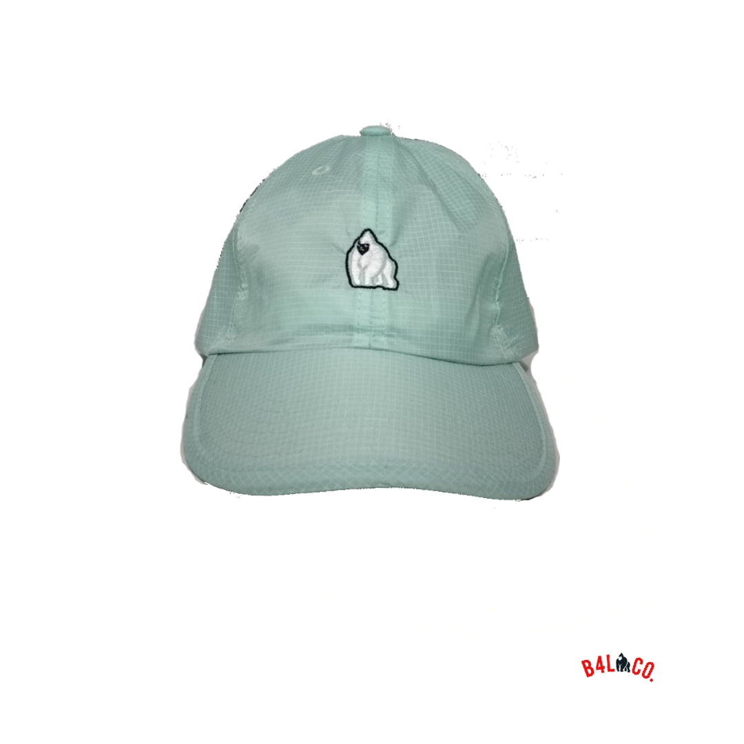 Dry-Fit Aqua Blue cap